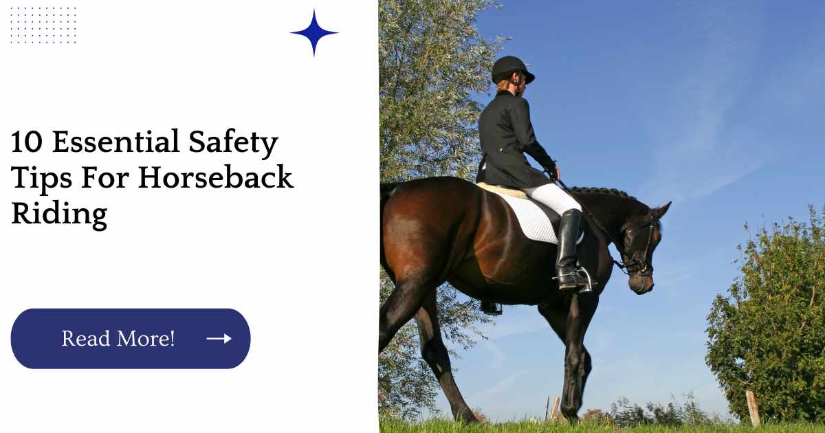 10 Essential Safety Tips For Horseback Riding