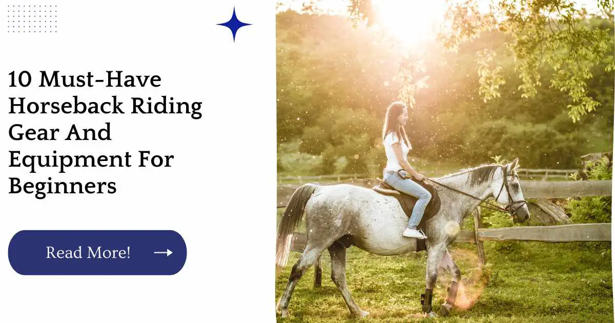 10 Must-Have Horseback Riding Gear And Equipment For Beginners