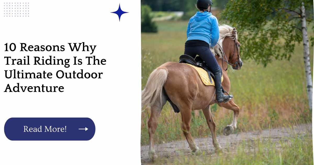 10 Reasons Why Trail Riding Is The Ultimate Outdoor Adventure