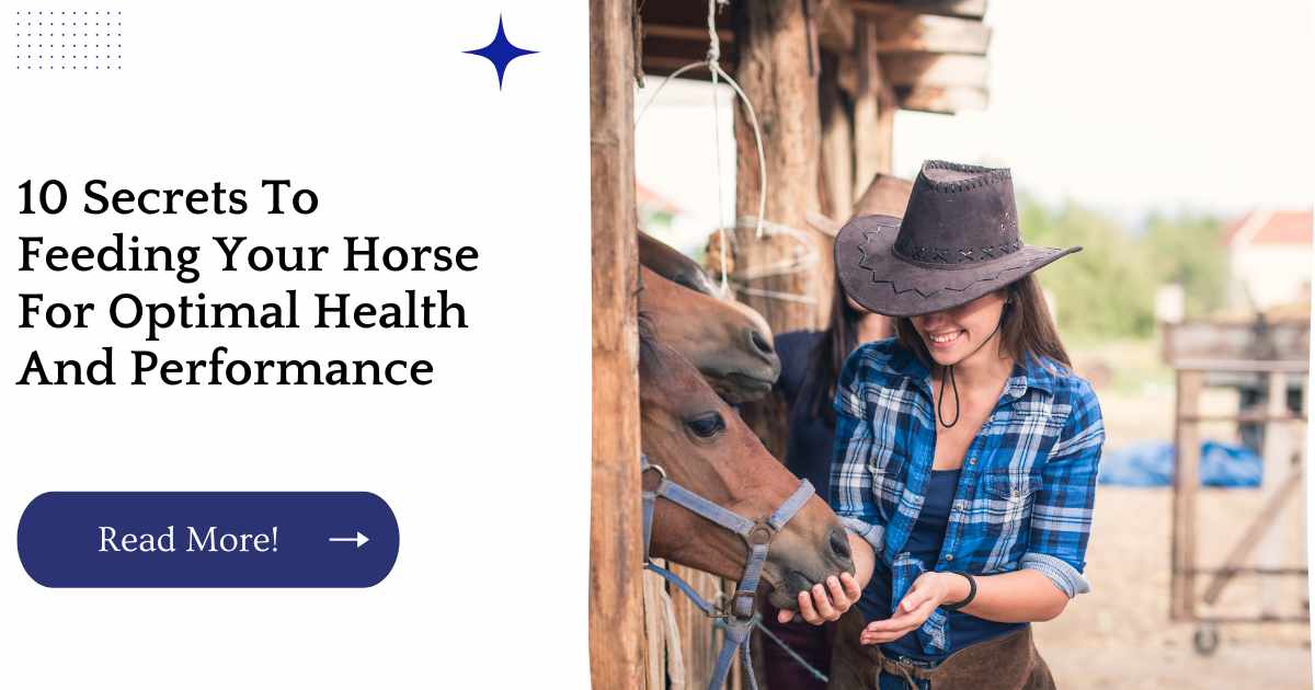10 Secrets To Feeding Your Horse For Optimal Health And Performance