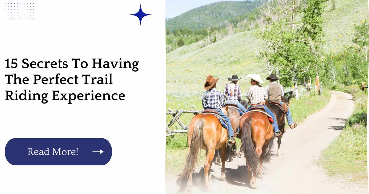 15 Secrets To Having The Perfect Trail Riding Experience