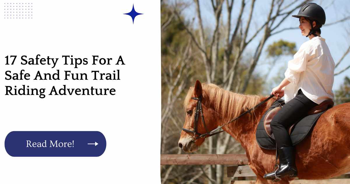 17 Safety Tips For A Safe And Fun Trail Riding Adventure