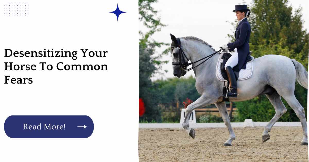 Desensitizing Your Horse To Common Fears