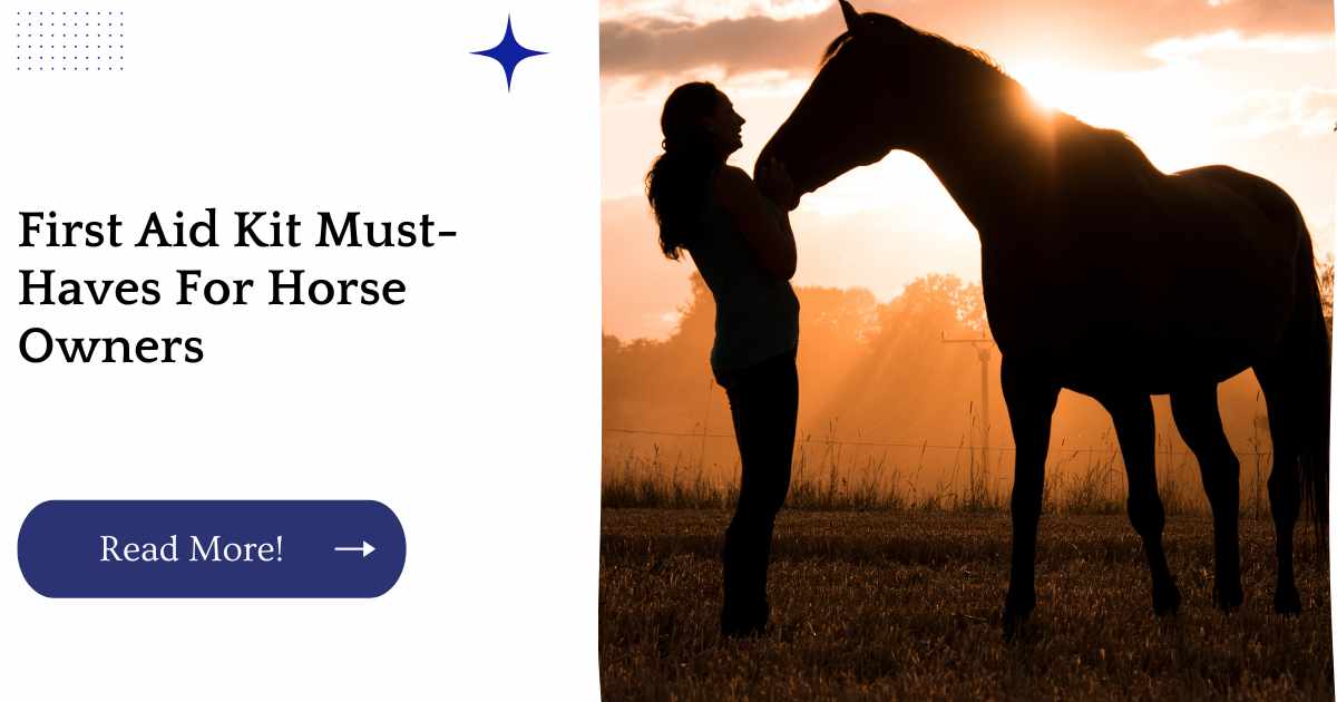 First Aid Kit Must-Haves For Horse Owners