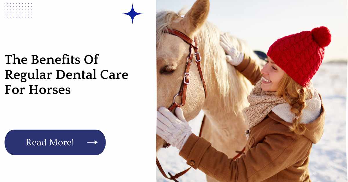 Horse Health and Care