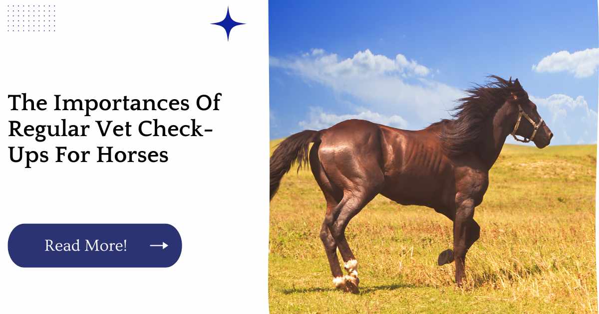 The Importances Of Regular Vet Check-Ups For Horses