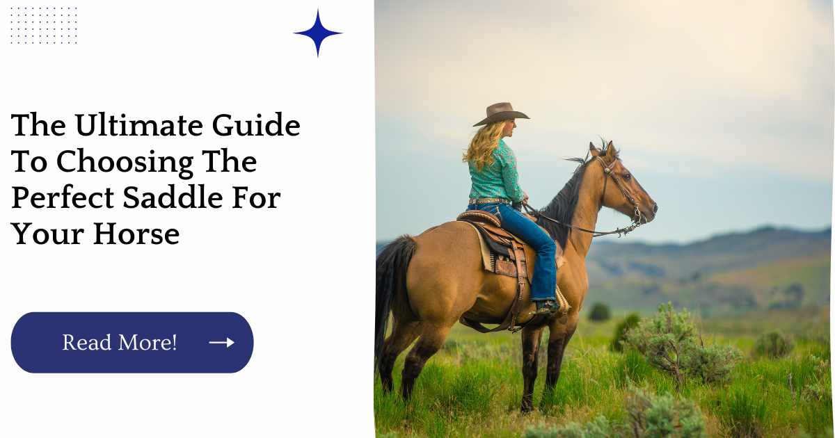 The Ultimate Guide To Choosing The Perfect Saddle For Your Horse