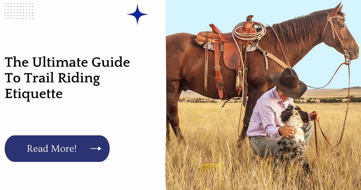 The Ultimate Guide To Trail Riding Etiquette