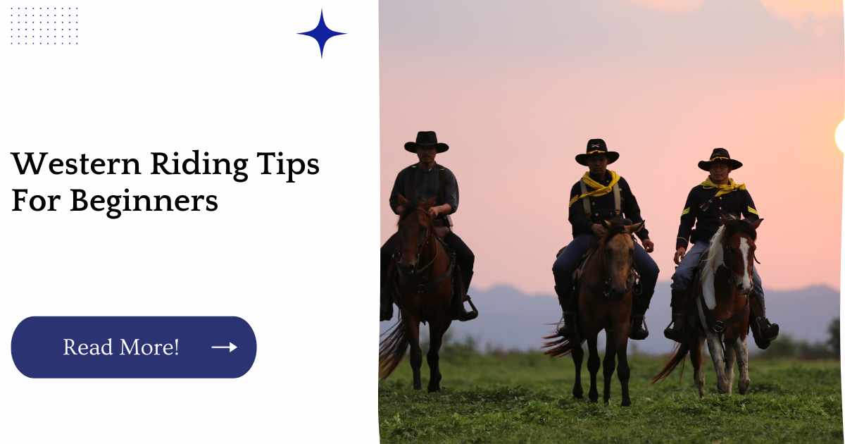 Western Riding Tips For Beginners