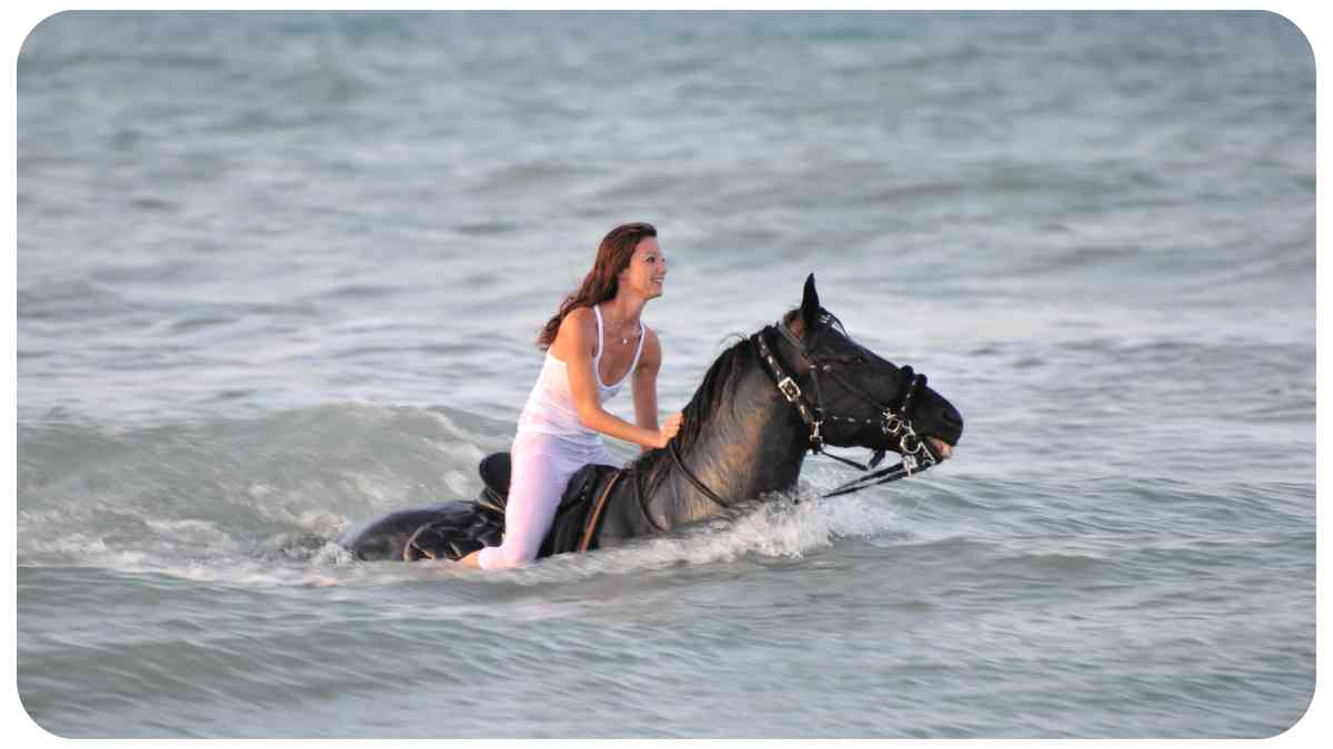 Can Horses Swim? Exploring Your Options