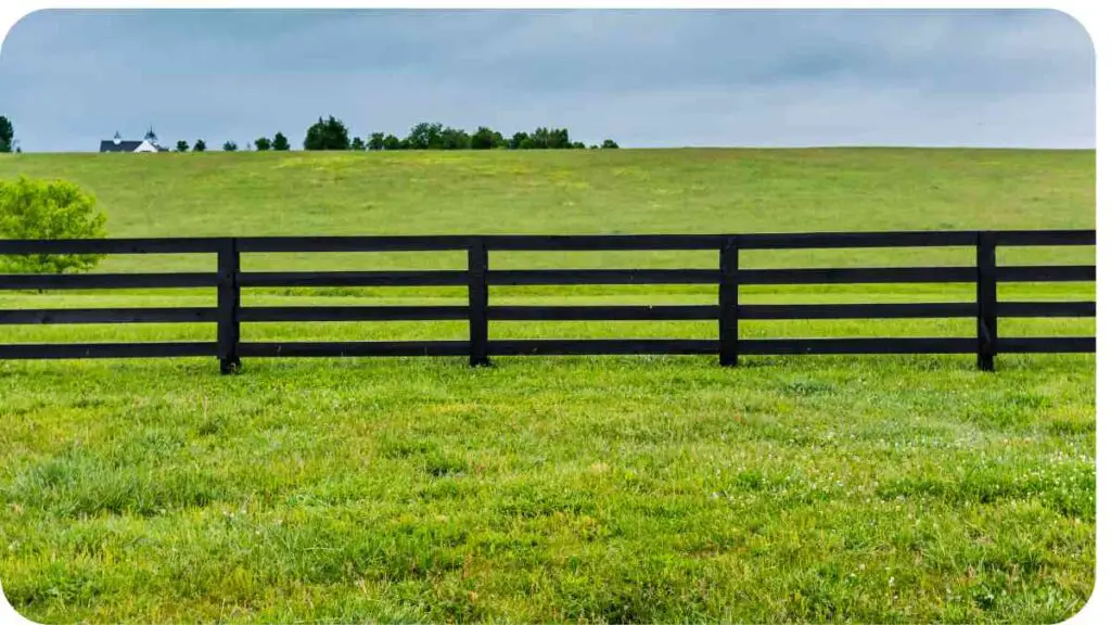 Factors to Consider for Horse Pasture Management