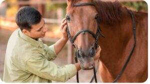 The Science Of Horse Behavior: Understanding What Makes Them Tick