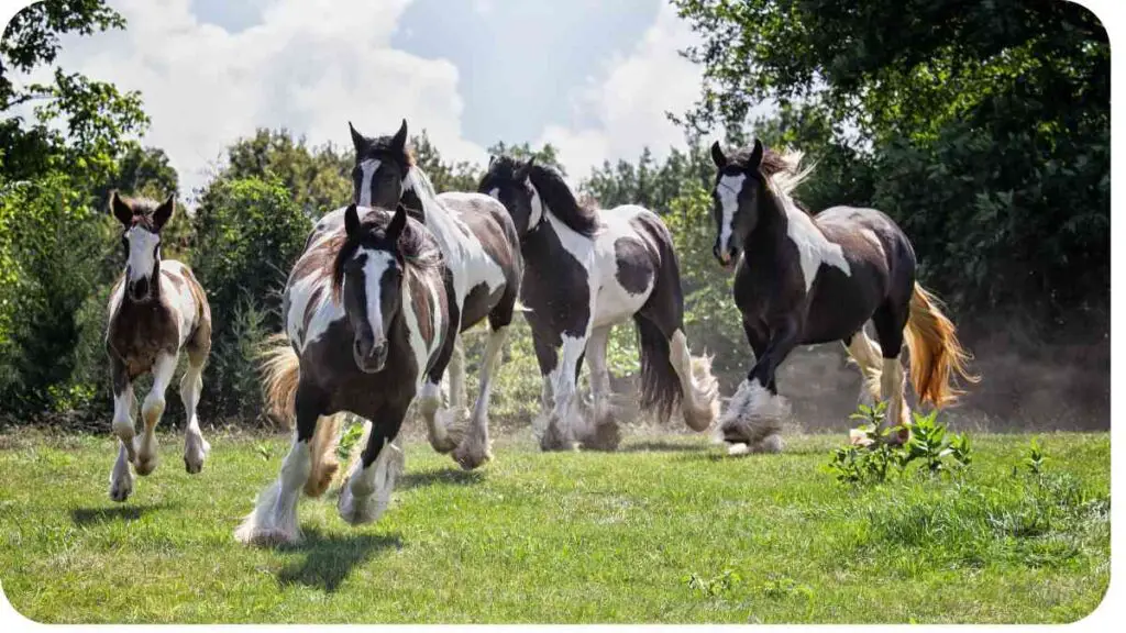 a group of horses running in a field